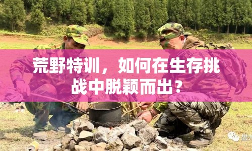 荒野特訓，如何在生存挑戰(zhàn)中脫穎而出？