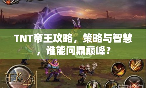TNT帝王攻略，策略與智慧，誰能問鼎巔峰？