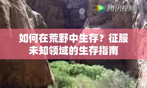 如何在荒野中生存？征服未知領(lǐng)域的生存指南