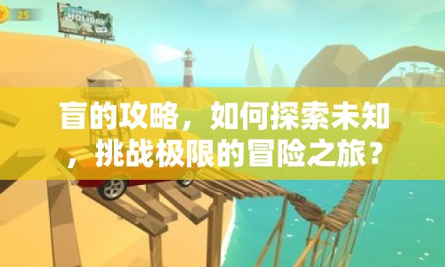 盲的攻略，如何探索未知，挑戰(zhàn)極限的冒險(xiǎn)之旅？