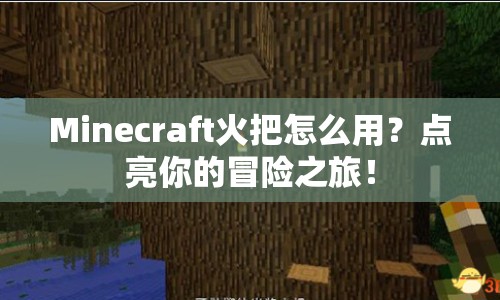 Minecraft火把怎么用？點(diǎn)亮你的冒險(xiǎn)之旅！