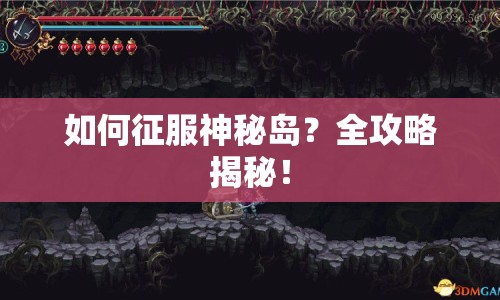 如何征服神秘島？全攻略揭秘！