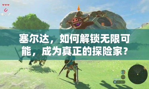 塞爾達(dá)，如何解鎖無(wú)限可能，成為真正的探險(xiǎn)家？