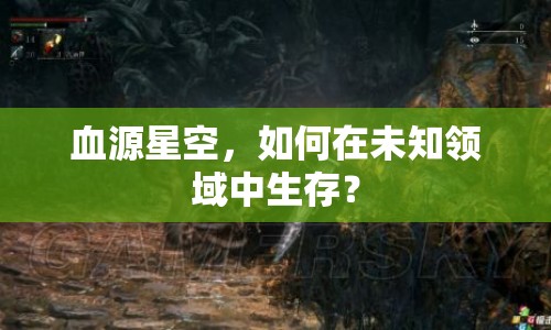 血源星空，如何在未知領(lǐng)域中生存？