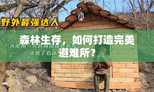 森林生存，如何打造完美避難所？