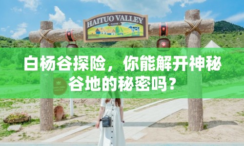 白楊谷探險，你能解開神秘谷地的秘密嗎？