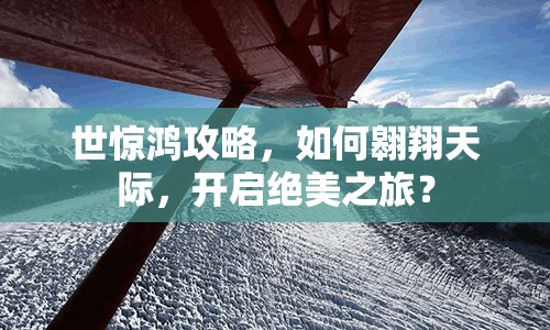 世驚鴻攻略，如何翱翔天際，開(kāi)啟絕美之旅？