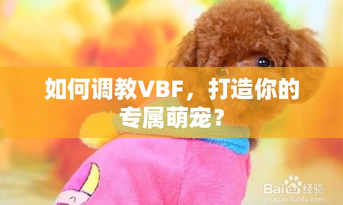 如何調教VBF，打造你的專屬萌寵？