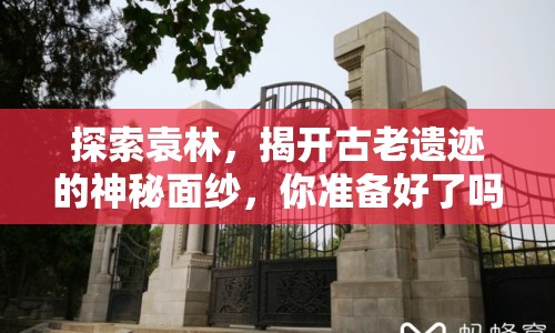 探索袁林，揭開古老遺跡的神秘面紗，你準(zhǔn)備好了嗎？