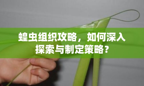蝗蟲組織攻略，如何深入探索與制定策略？