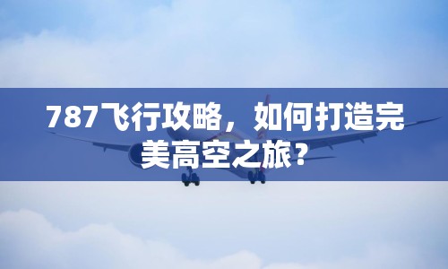 787飛行攻略，如何打造完美高空之旅？