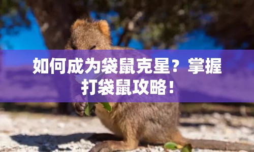 如何成為袋鼠克星？掌握打袋鼠攻略！