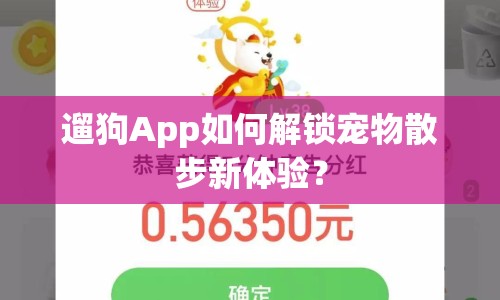 遛狗App如何解鎖寵物散步新體驗(yàn)？