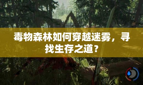 毒物森林如何穿越迷霧，尋找生存之道？
