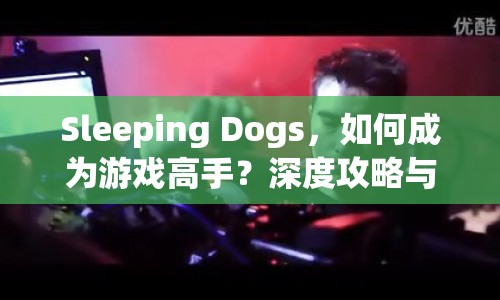 Sleeping Dogs，如何成為游戲高手？深度攻略與玩法指南來(lái)襲！