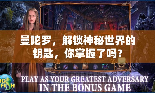 曼陀羅，解鎖神秘世界的鑰匙，你掌握了嗎？