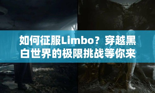 如何征服Limbo？穿越黑白世界的極限挑戰(zhàn)等你來挑戰(zhàn)！