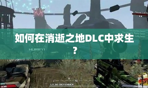 如何在消逝之地DLC中求生？