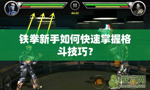 鐵拳新手如何快速掌握格斗技巧？