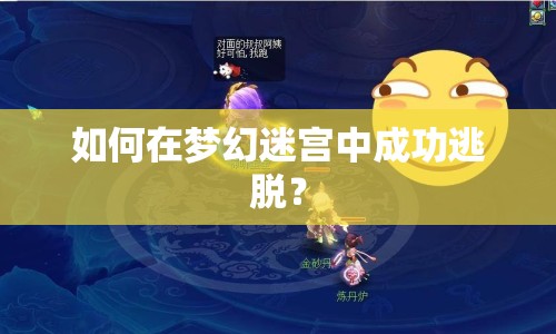 如何在夢(mèng)幻迷宮中成功逃脫？