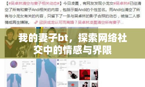 我的妻子bt，探索網(wǎng)絡(luò)社交中的情感與界限