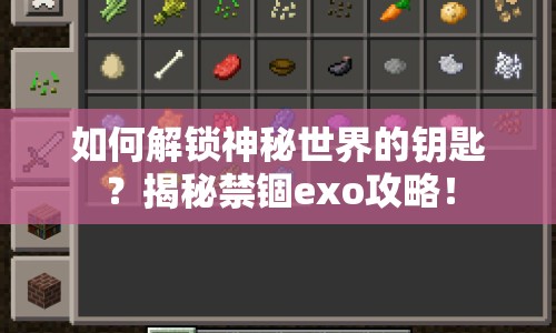如何解鎖神秘世界的鑰匙？揭秘禁錮exo攻略！