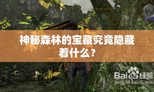神秘森林的寶藏究竟隱藏著什么？