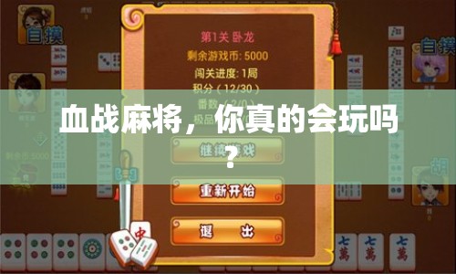 血戰(zhàn)麻將，你真的會玩嗎？