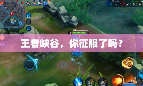王者峽谷，你征服了嗎？