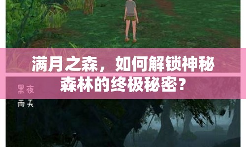 滿月之森，如何解鎖神秘森林的終極秘密？