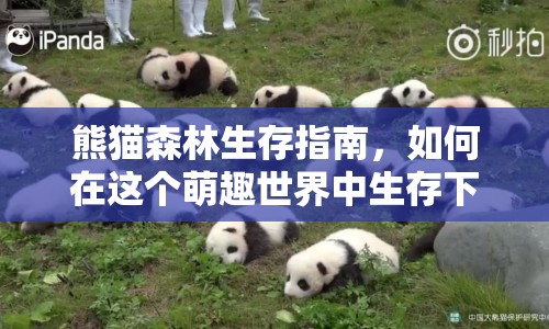 熊貓森林生存指南，如何在這個(gè)萌趣世界中生存下來(lái)？