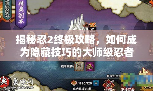 揭秘忍2終極攻略，如何成為隱藏技巧的大師級忍者？