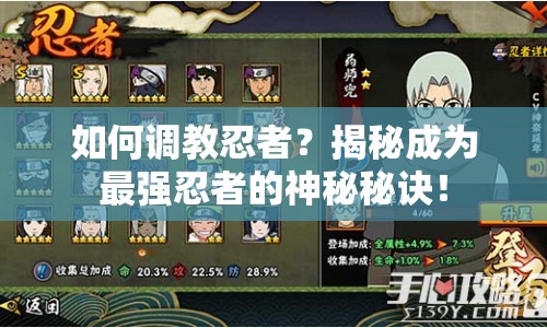 如何調(diào)教忍者？揭秘成為最強忍者的神秘秘訣！