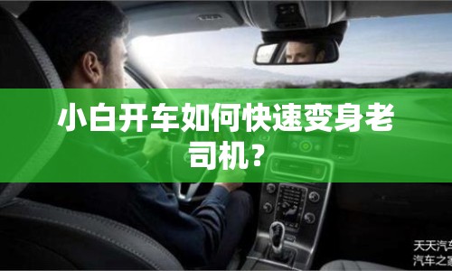 小白開車如何快速變身老司機(jī)？