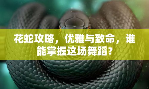 花蛇攻略，優(yōu)雅與致命，誰能掌握這場舞蹈？