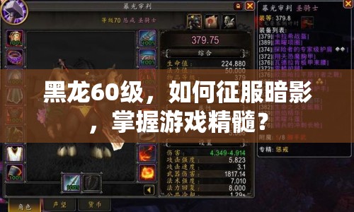 黑龍60級，如何征服暗影，掌握游戲精髓？