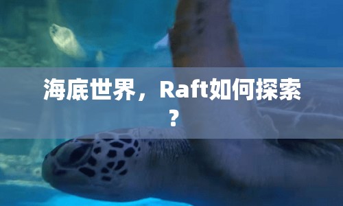 海底世界，Raft如何探索？