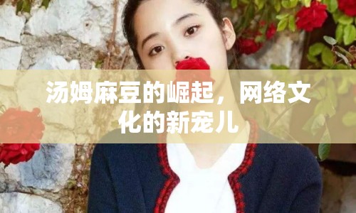 湯姆麻豆的崛起，網(wǎng)絡(luò)文化的新寵兒