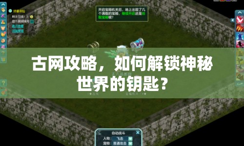 古網(wǎng)攻略，如何解鎖神秘世界的鑰匙？