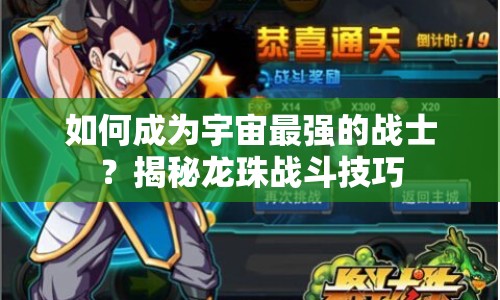 如何成為宇宙最強(qiáng)的戰(zhàn)士？揭秘龍珠戰(zhàn)斗技巧