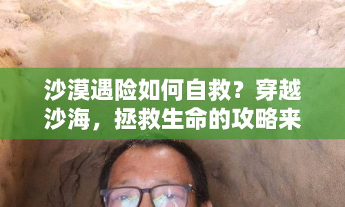 沙漠遇險(xiǎn)如何自救？穿越沙海，拯救生命的攻略來啦！