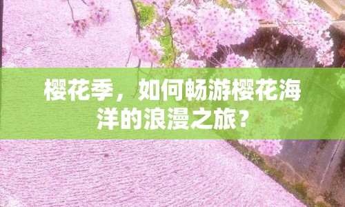 櫻花季，如何暢游櫻花海洋的浪漫之旅？