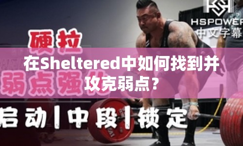 在Sheltered中如何找到并攻克弱點(diǎn)？