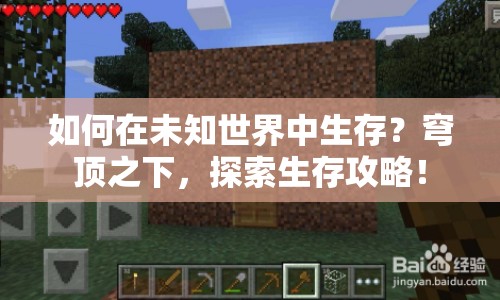 如何在未知世界中生存？穹頂之下，探索生存攻略！