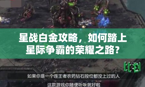 星戰(zhàn)白金攻略，如何踏上星際爭霸的榮耀之路？