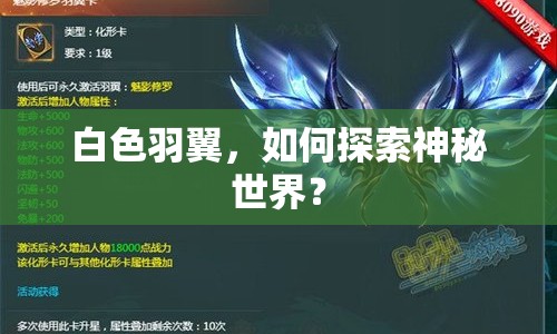白色羽翼，如何探索神秘世界？