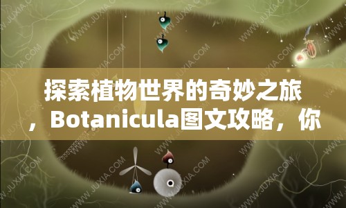 探索植物世界的奇妙之旅，Botanicula圖文攻略，你準(zhǔn)備好了嗎？