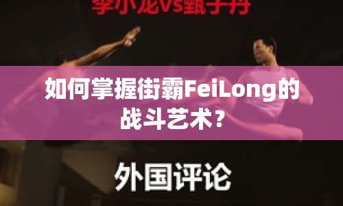 如何掌握街霸FeiLong的戰(zhàn)斗藝術(shù)？