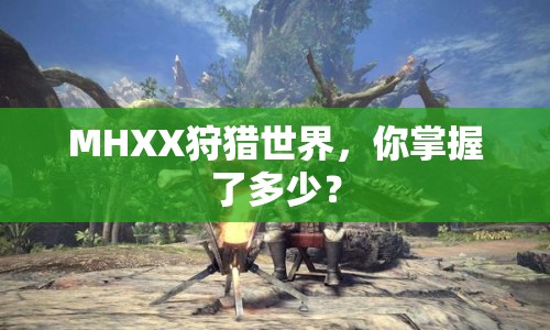 MHXX狩獵世界，你掌握了多少？