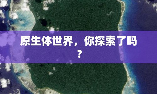 原生體世界，你探索了嗎？